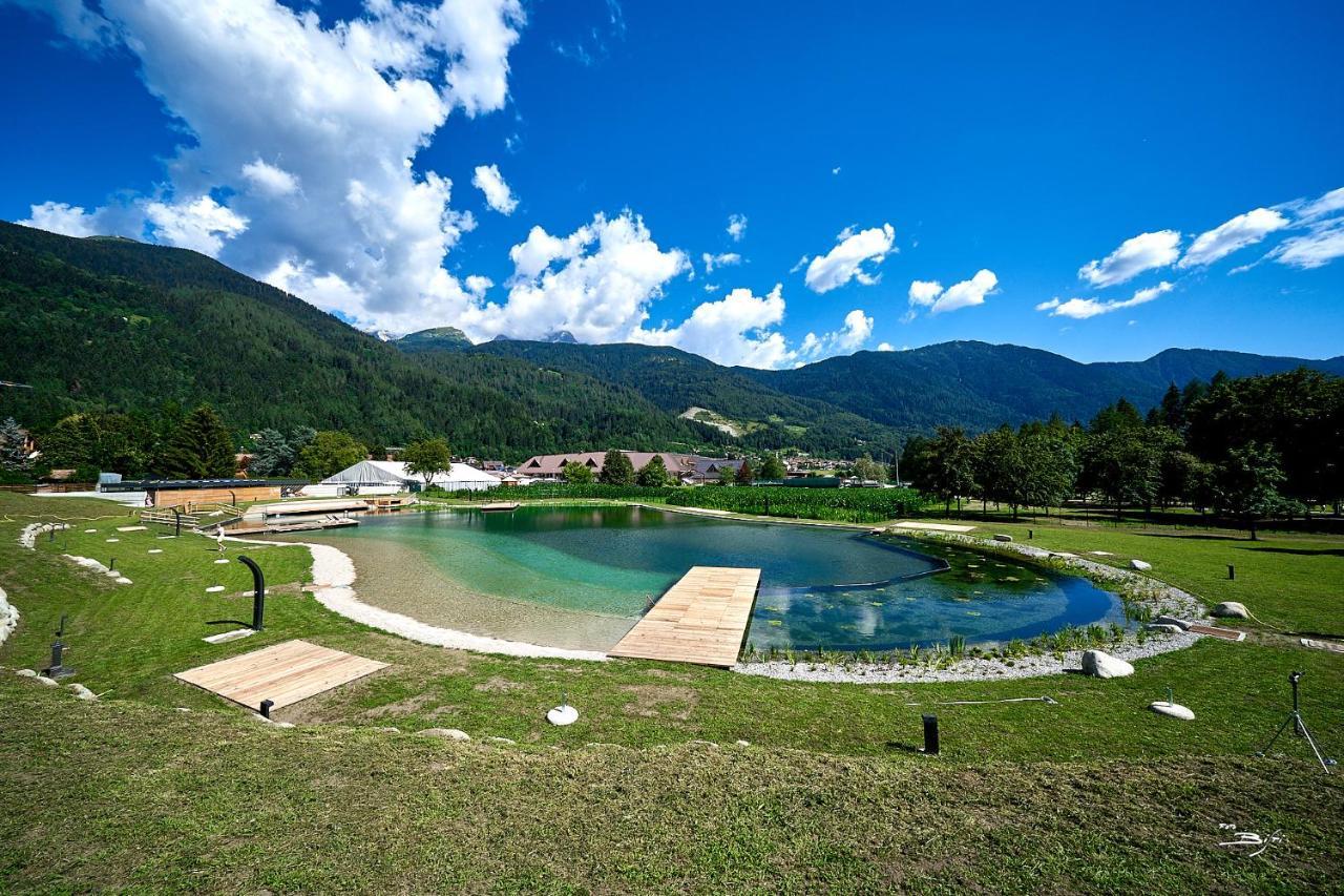 Chalet Mountain Plaza - Apt Greenvalley Pinzolo Exterior foto